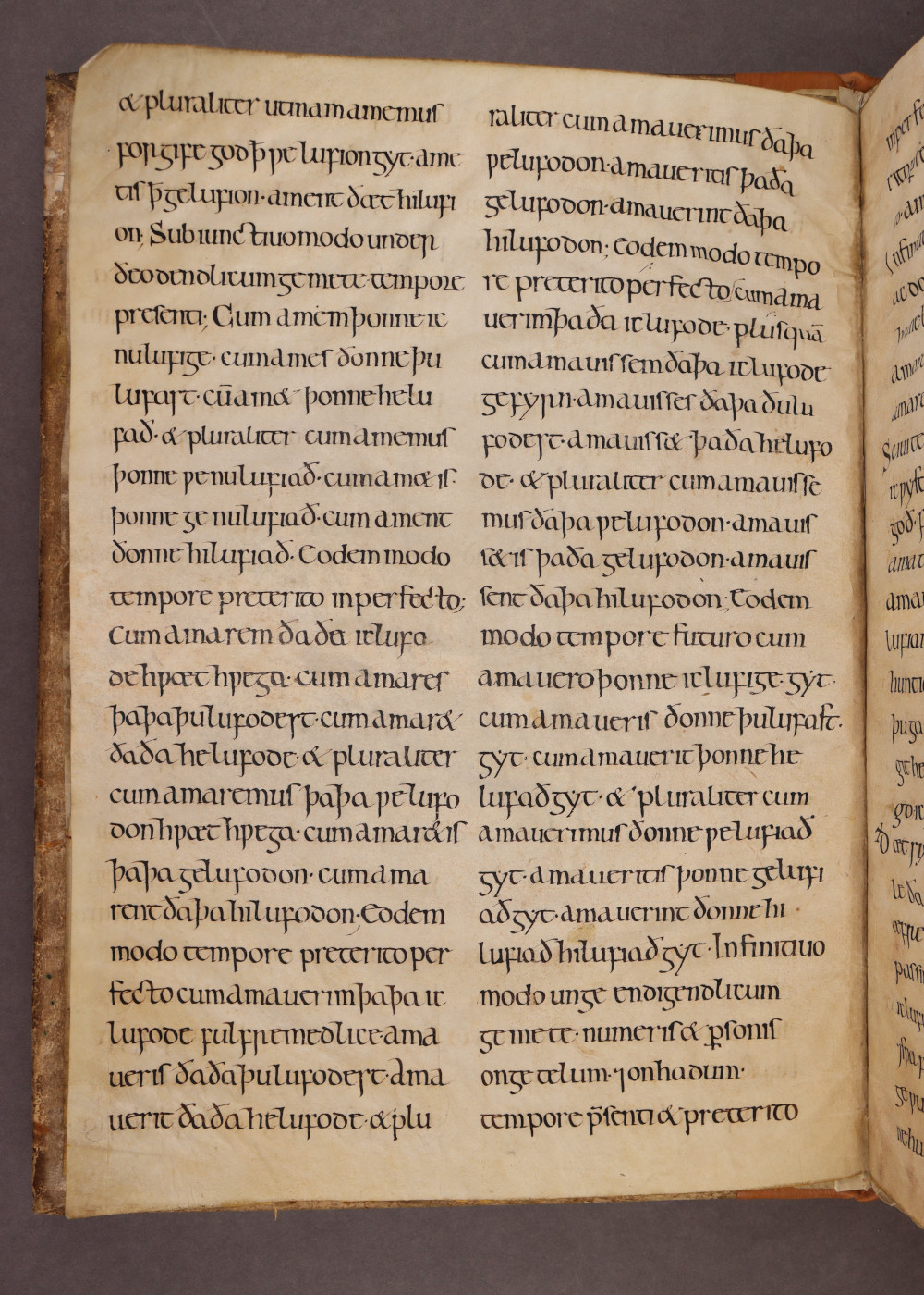 MS 38 Folio ii  verso